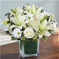 Healing Tears&trade; All White